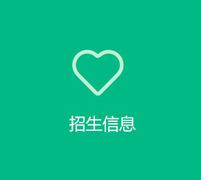 招生信息